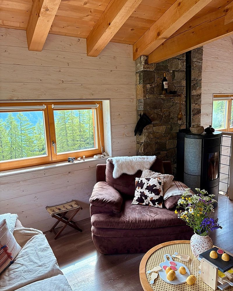 Salon du chalet — vue 1