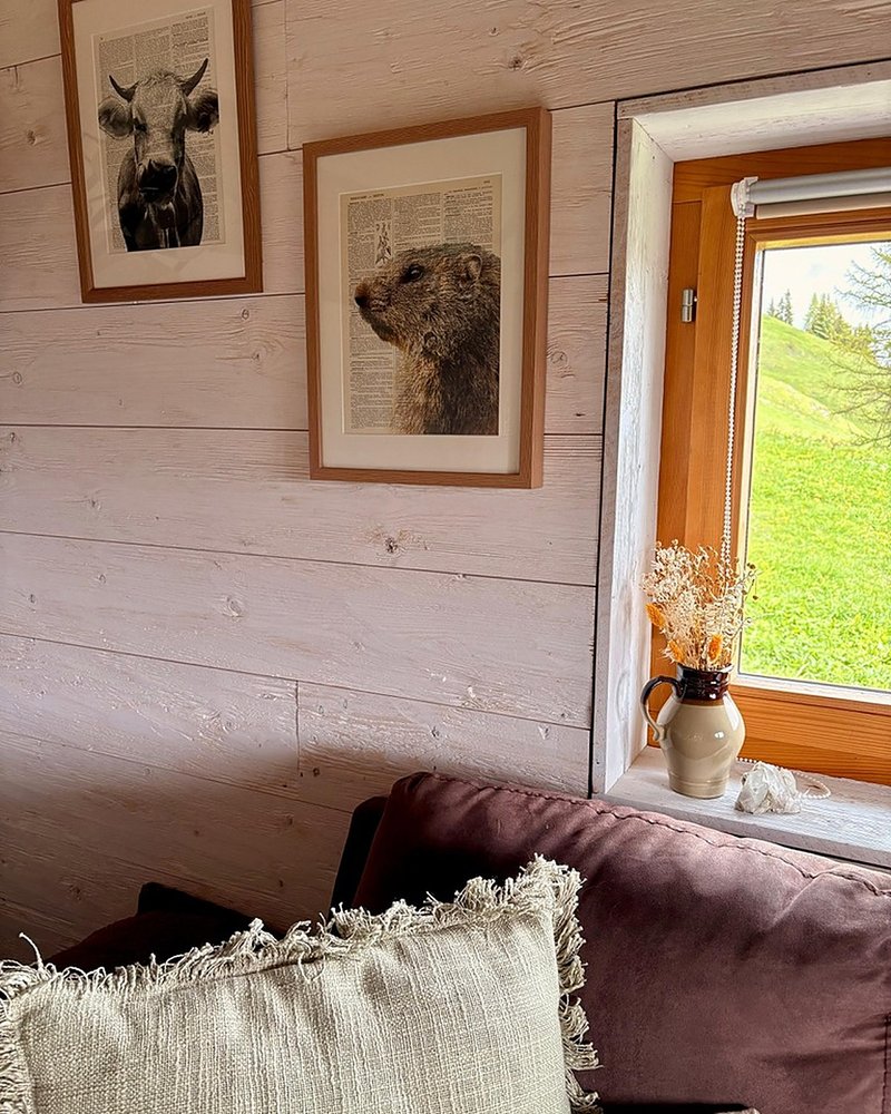 Salon du chalet — vue 5