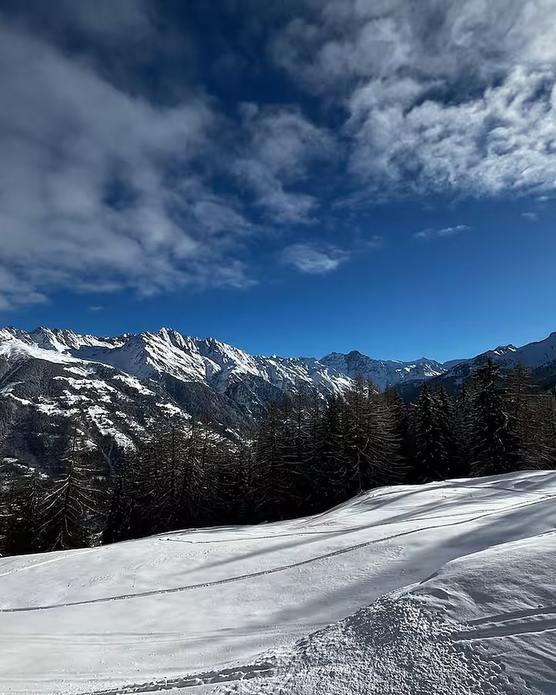 Vue depuis le chalet — vue 2